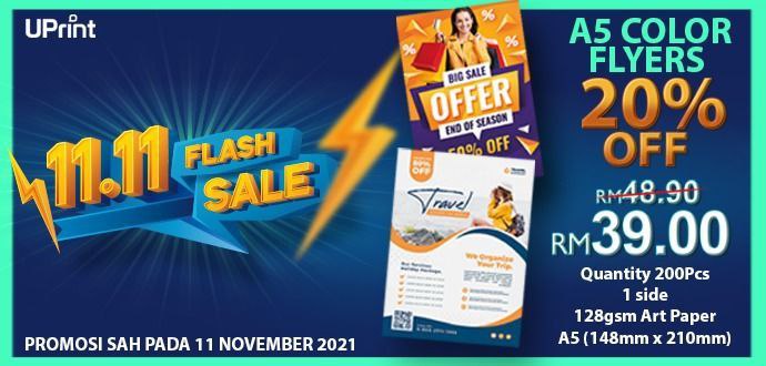 Website 11.11 Flash Sale
